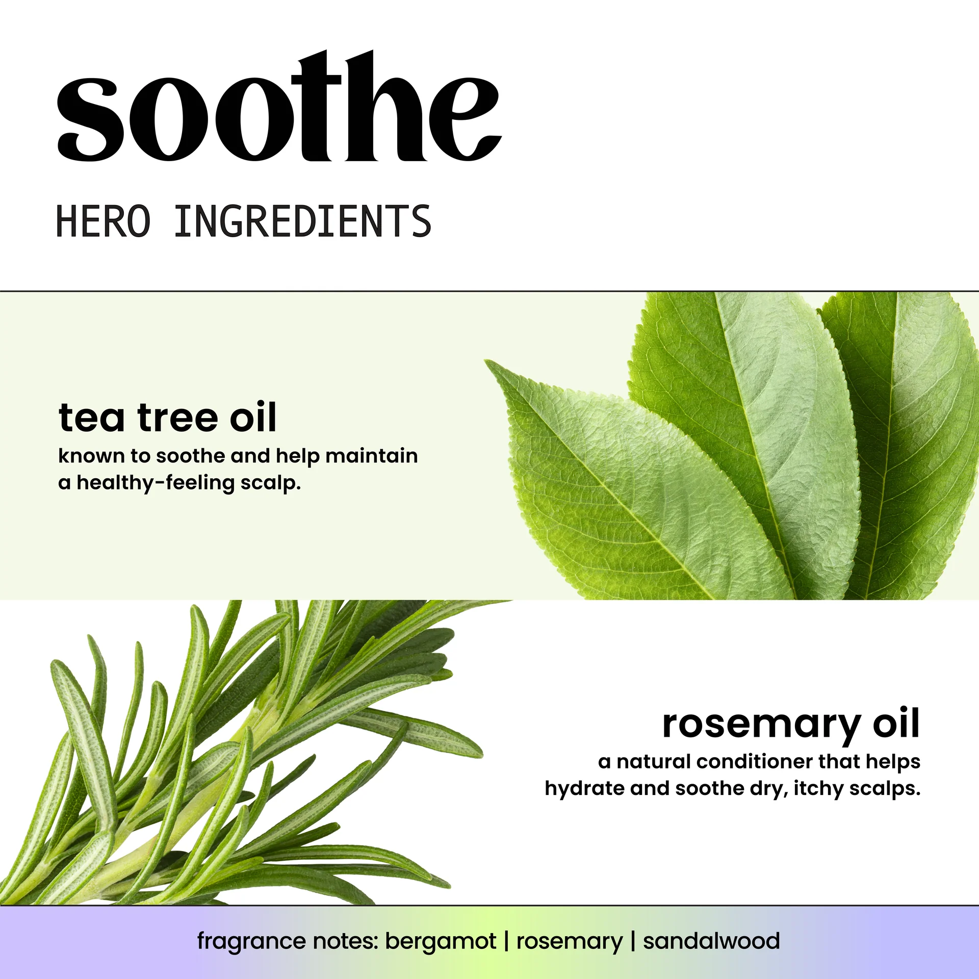Soothe + Tea Tree Oil & Rosemary Shampoo - Image 5